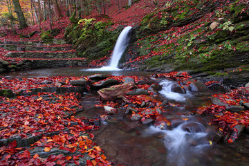 Little waterfall in the beech forest in the fall. © Vitalfoto