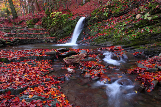 Little waterfall in the beech forest in the fall.