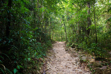 Jungle waterfall on Koh Kood