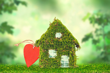 grünes Haus mit roten Herz - Natur