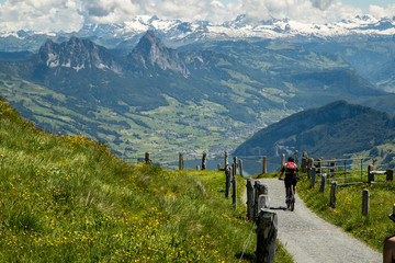 Fototapeta na wymiar Biking on Mt. Rigi, Switzerland
