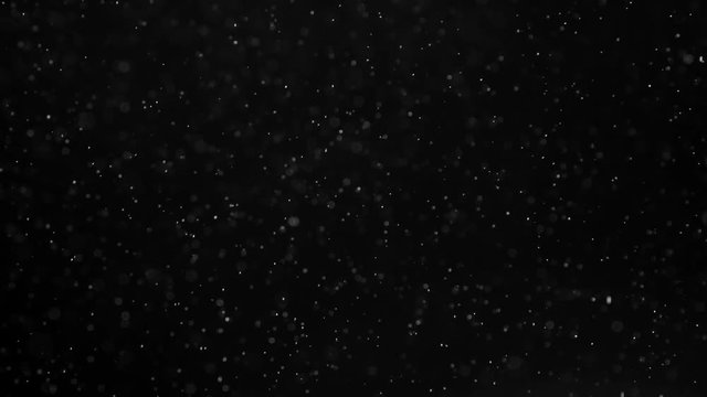 Flying Weightless Particles. Fine white particles slowly and chaotically soar in the air against a black background. Slow Motion at a rate of 240 fps