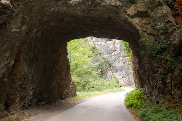 the old mountain road passes through a stone tunnel Tara mountain Serbia