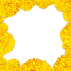 Marigold flowers frame background