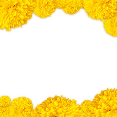 Marigold flowers frame background