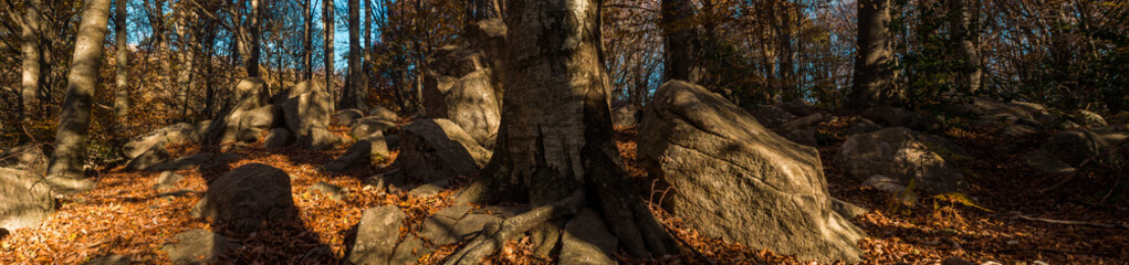 Natural park of Montseny, on a day of autumn, located in Catalonia, Spain