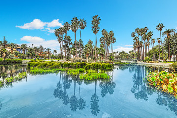 Echo park pond in Los Angeles