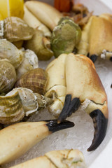 plateau de fruits de mer