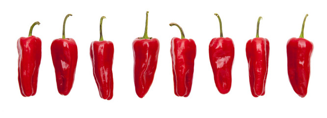 Rote Peperoni