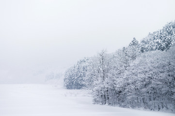 Snow covered landscape of Aomori in winter, Tohoku, Japan