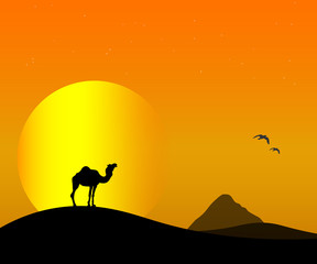 Fototapeta na wymiar camel in the desert outline
