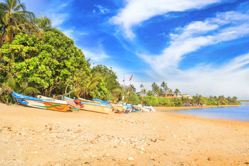 Fototapeta na wymiar Bright boats on the tropical beach of Bentota, Sri Lanka on a sunny day