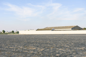 Fototapeta premium Fields of garden vegetable in Valencia, Huerta de Valencia. Field of tiger nut after was burned. Tiger nut milk is a drink typical of Valencia