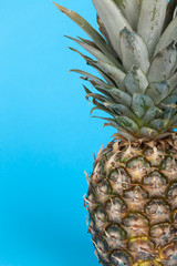 Fresh pineapple fruit on blue background