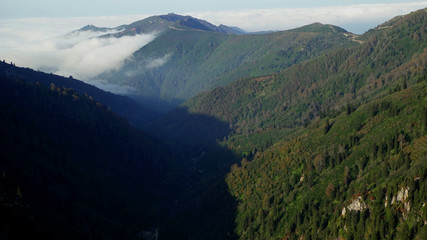 Foggy Mountain in Sunny Day