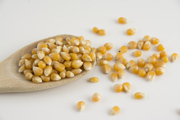 Organic and healthy yellow sweet corn scattered on white background. Close up of lots of   american sweetcorn seeds.