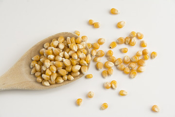 Organic and healthy yellow sweet corn scattered on white background. Close up of lots of   american sweetcorn seeds.