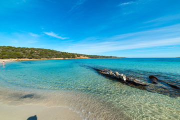 Clear water in Andreani cove