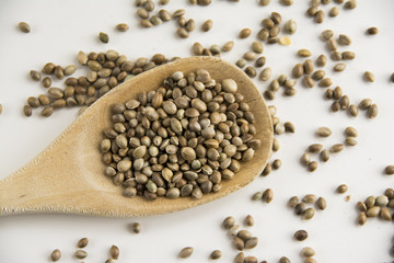 Edible raw hemp seeds on wooden spoon. Close up of hempseed cannabis plant seeds. 