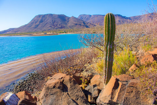 El Requeson Beach Muleg&eacute; Baja California Sur- Mar Turquoise