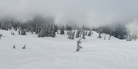 Ski tracks on snowy mountain, Whistler, British Columbia, Canada