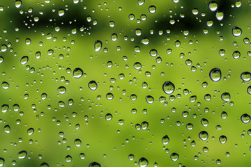 Water droplets after rain on green glass