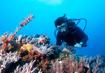 Foto auf Acrylglas Tauchen Taucher erkundet Korallenriff