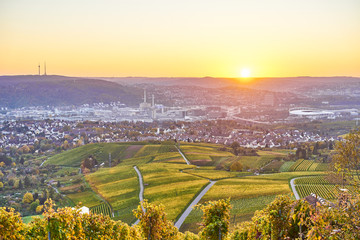 Vineyards in Stuttgart / colorful wine growing region in the south of Germany with view over Neckar Valley - obrazy, fototapety, plakaty