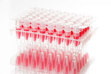 Pcr well plate with biological samples