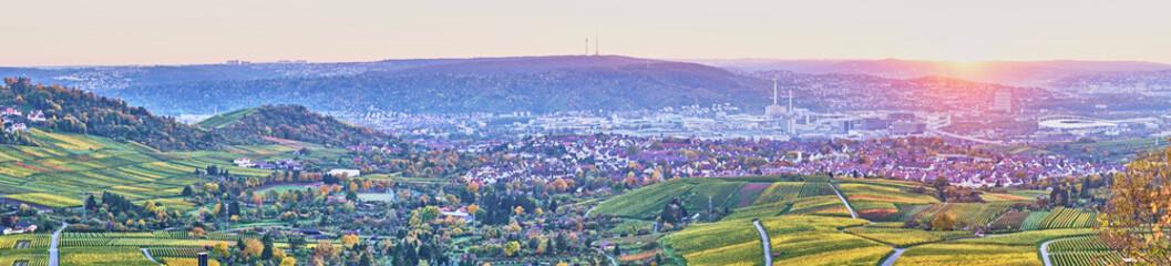 Vineyards in Stuttgart / colorful wine growing region in the south of Germany with view over Neckar Valley - obrazy, fototapety, plakaty