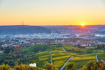 Vineyards in Stuttgart / colorful wine growing region in the south of Germany with view over Neckar Valley