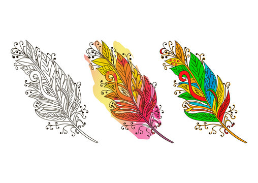 Feather sketch. Colorful Feather. Vector illustration.