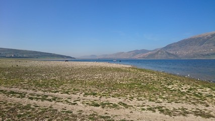 Qaroun lake