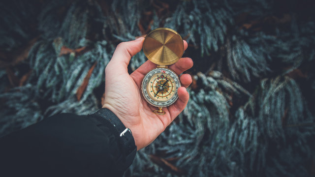 Travel Compass