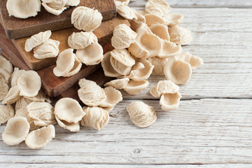 Fresh italian pasta orecchiette