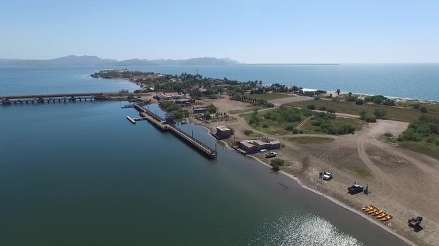 Manglares en isla playa El Maviri Sinaloa