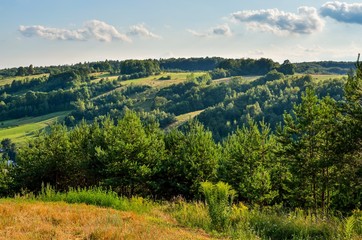 Natural green summer landscape. Beautiful Jurassic valley in Poland.