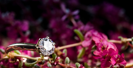 Diamond ring on the pink flowers