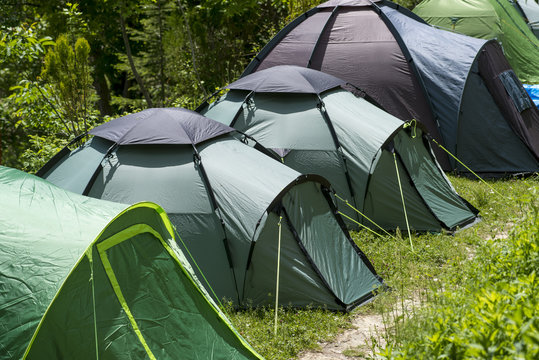 camping tents in the forest