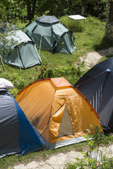 camping tents in the forest