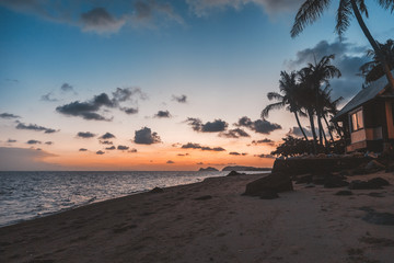 Naklejka premium Bright colorful sea sunset, silhouette of palm trees, magic colors of nature