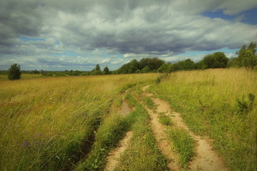 Fototapeta na wymiar field road to the village before the thunderstorm August month