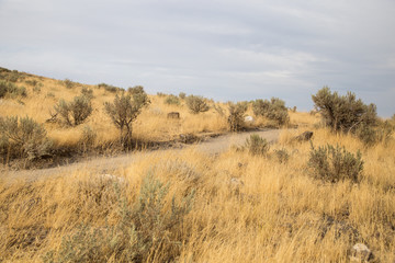 Obraz premium Neighborhood running trail in Central Washington