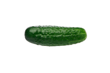 green cucumber on white background, isolate.