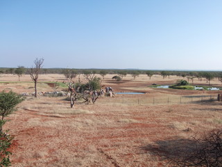 Landschaft, Tiere, Reisen