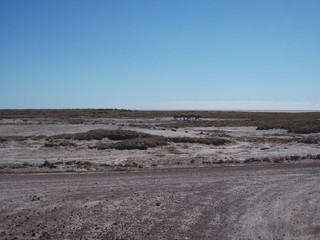 Reisen, Tiere, Landschaften
