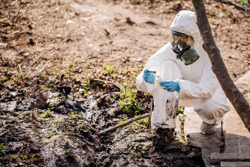 female collects soil in a test tube. soil analysis, environment, ecology concept.