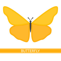 Vector illustration of butterfly isolated on white background in flat style