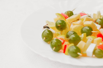 A bee eating ripe natural sweet grapes in the garden outdoor. Autumn fertility. Bio food, healthy nutrition concept.