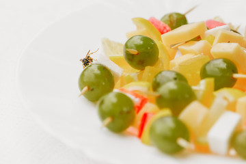 A bee eating ripe natural sweet grapes in the garden outdoor. Autumn fertility. Bio food, healthy nutrition concept.